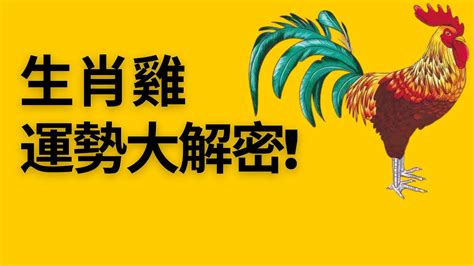 1981屬雞一生運|【屬雞1981】屬雞1981年：重返巔峯！43歲大運全解析